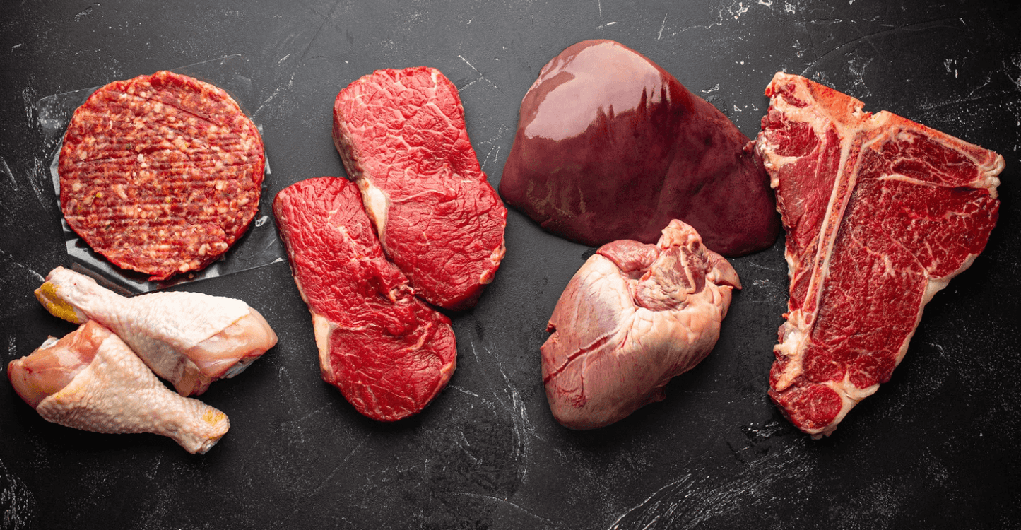 dieta carnivore